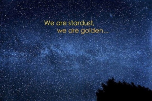 WE ARE STARDUST WE ARE GOLDEN