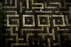 Download The Maze Runner Film wallpaper
