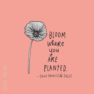 365 Days of Gratitude: Day 188