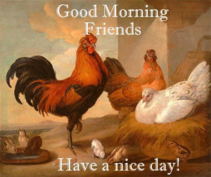 Good Morning Rooster & Hens
