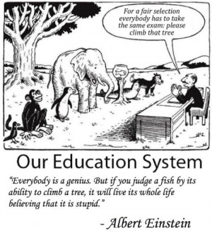 Education in a nutshell - www.meme-lol.com