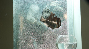 DOCTOR WHO: I am THE GOD COMPLEX