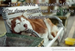 Tomorrow is monday again quotes, sayings, pictures
