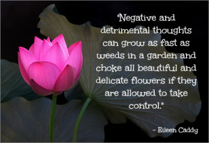 the lotus flower life quotes sayings pictures jpg