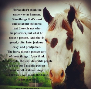Horses make better friends :)