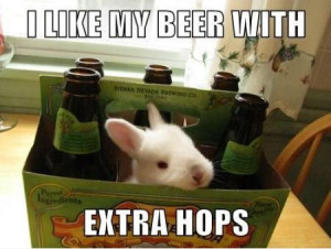 Funny Beer Memes