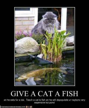 Cats and fish go together like ...well, the cats like it, the fish ...