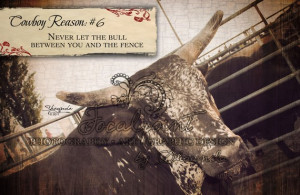 Cowboy Reason 6 - The Bull 8x10 Art Print