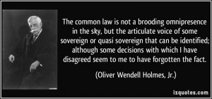 The common law is not a brooding omnipresence in the sky, but the ...