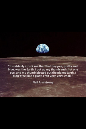 Neil Armstrong Quotes And Quotations
