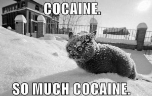 cat, cocaine so much cocaine
