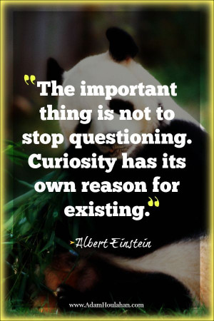 ... life pattern: albert einstein - quote - the important thing is n