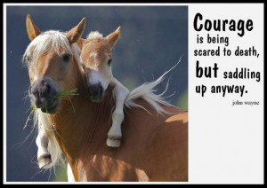 quote, john wayne, courage, horse,