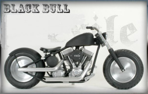 Re: All you hard tail people...