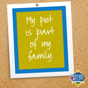 My pet is part of my family. #quote #pet