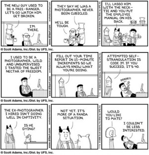 Commentary on Dilbert Commentary