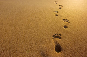 ... you is footprints on your back from everybody walking all over you
