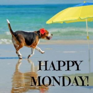 ... , Funny Quotes, Beach Baby, Summer Heat, Dogs Mondays, Myrtle Beach