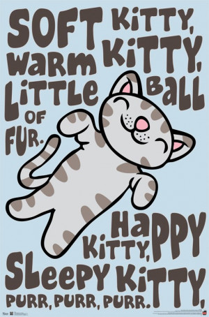 Big Bang Theory - Soft Kitty Little Ball Of Fur Poster