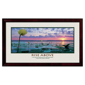 Rise Above Lily Pads Motivational Poster (710204)