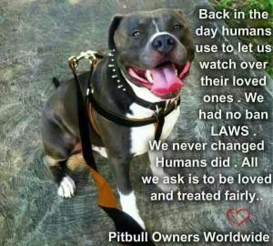 Pit bull...back in the day quote