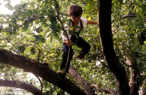 Children should be encouraged to play outdoors and allowed to climb ...