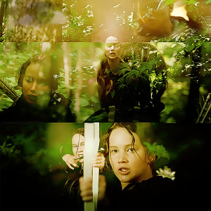 The Hunger Games Quotes Fan...