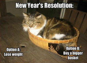 New Year's Resolution Meme Cats