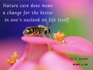 Mahatma Gandhi Quotes on Nature Cure