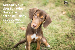 AS DOGS WOULD SAY: DOG QUOTE 02
