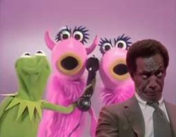 bill cosby muppet show Bill Cosby Quotes