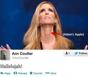 http://dummidumbwit.wordpress.com/2013/02/11/ann-coulter-quotes/