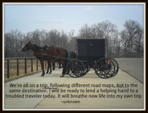 Funny Amish Quotes