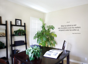 Quotes for self-contemplation