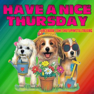 Have a nice thursaday