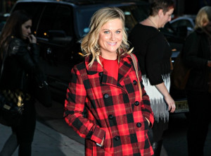 Amy Poehler Yes Please book Amy Poehler: Every mom needs a wife of her ...