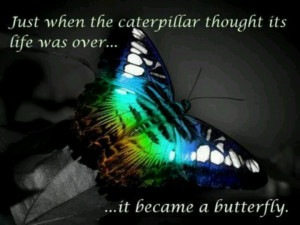 Caterpillar turns into a butterfly