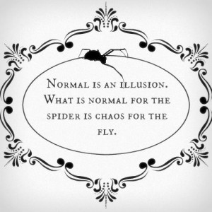 Normal is an illusion. What is normal for the spider is chaos for the ...