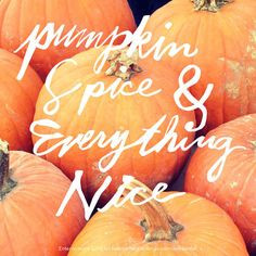 Pumpkin spice and everything nice; my new favorite quote for fall More