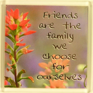 friends are the family we choose for ourselves