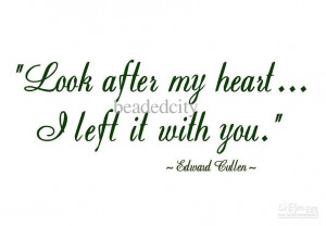 funlife]-10pcs/lot EDWARD CULLEN QUOTE LOOK AFTER MY HEART...Vinyl ...