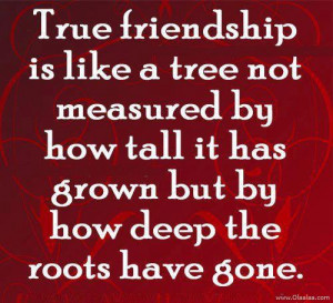... Like A Tree Not Measured By How Tall It Has Grown - Friendship Quote