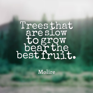 Bear Fruit Quotes