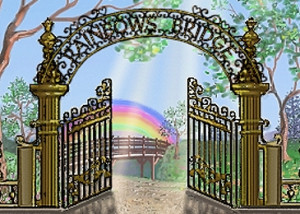 The Rainbow Bridge brings solace to those that have lost a pet; but ...