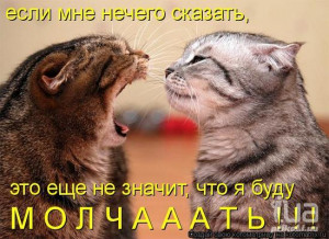 Приколы с животными! - животные, звери ...