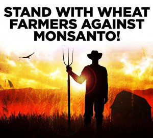 Stand with wheat farmers against Monsanto!