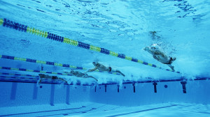 Swimming Wallpaper 1920x1080 Swimming