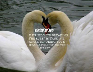 Swan Heart - Graphic Image and Swan Heart Picture Art Page 5