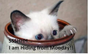 LOL Some of my closest friends would love to hide from mondays. They ...