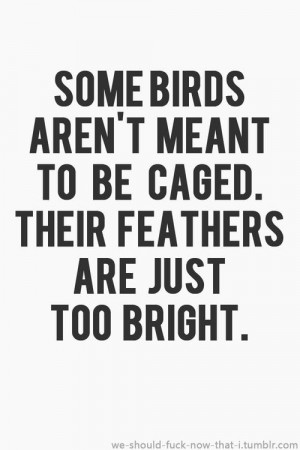 Some birds aren't meant to be caged. Their feathers are just too ...